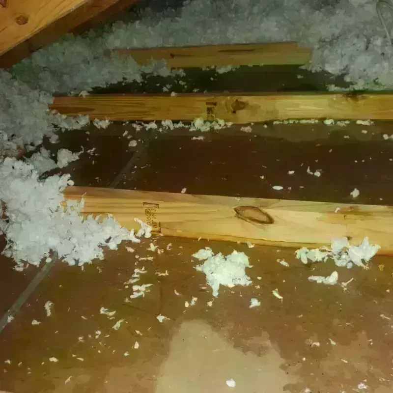 Attic Water Damage in Anderson County, KY